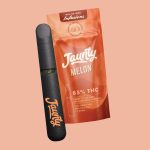 Jaunty Melon All-In-One Infusions Vaporizer