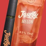 Jaunty Melon All-In-One Infusions Vaporizer