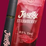 Jaunty Strawberry All-in-One Infusions Vaporizer