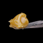 Papaya Lumina Cold Cure Live Rosin Badder