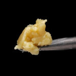Jaunty Dime Piece Cold Cure Live Rosin Badder